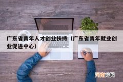 广东省青年就业创业促进中心 广东省青年人才创业扶持