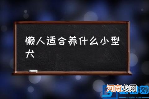 懒人适合养什么小型犬,哪一种狗狗最小最可爱？