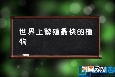 世界上繁殖最快的植物,繁殖最快的生物排名？