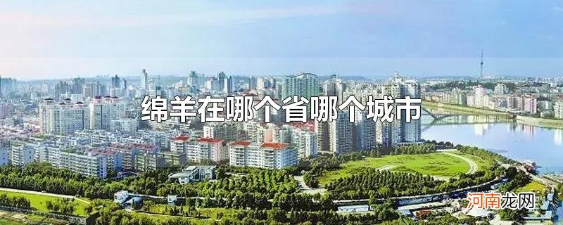 绵羊在哪个省哪个城市