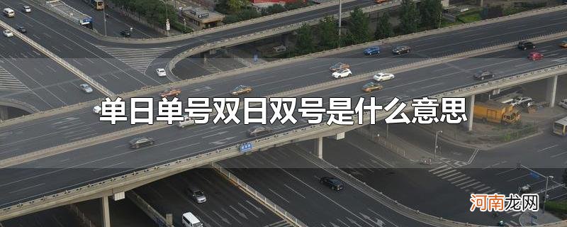 单日单号双日双号是什么意思