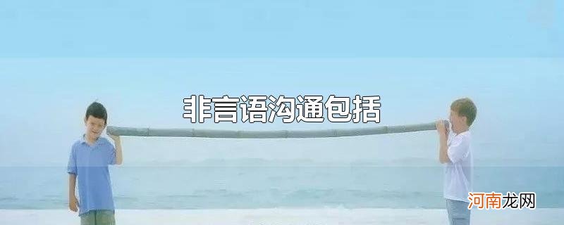 非言语沟通包括