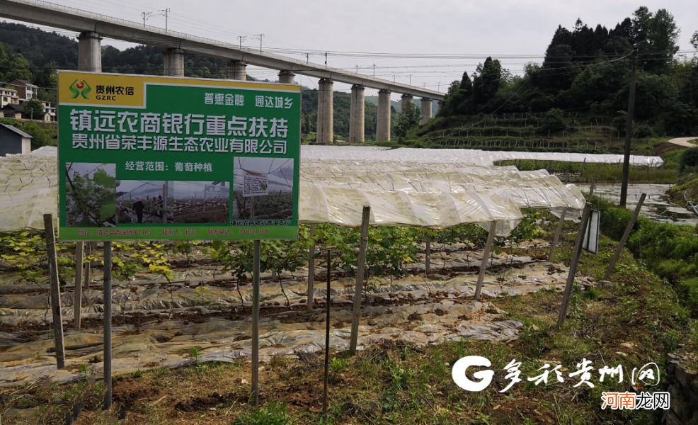 贵州回乡创业资金扶持 贵州农民工返乡创业有什么政策
