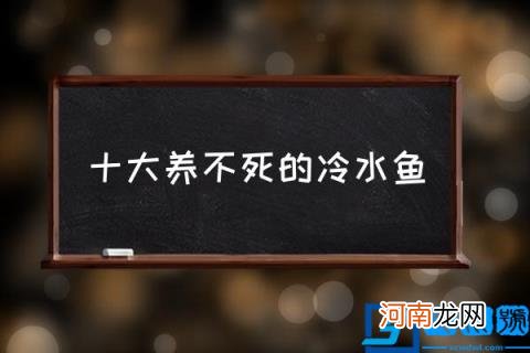 十大养不死的冷水鱼 观赏鱼排名？