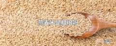 燕麦米是粗粮吗