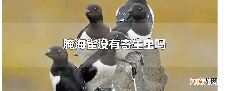 腌海雀没有寄生虫吗