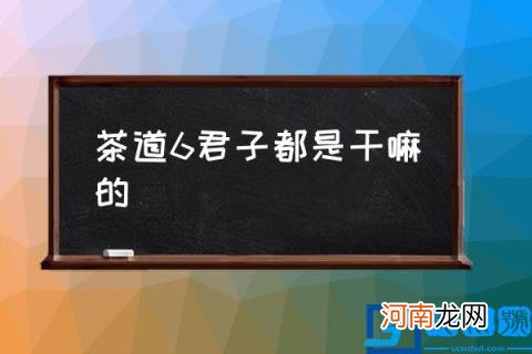 茶道6君子都是干嘛的 茶匙的主要用途是什么？