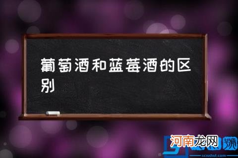 葡萄酒和蓝莓酒的区别 葡萄酒与蓝莓酒哪个更味美？