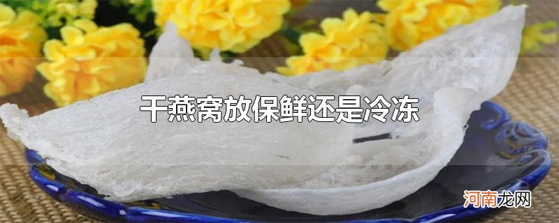 干燕窝放保鲜还是冷冻
