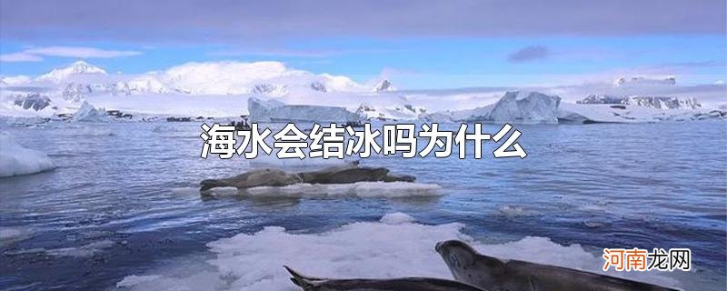 海水会结冰吗为什么