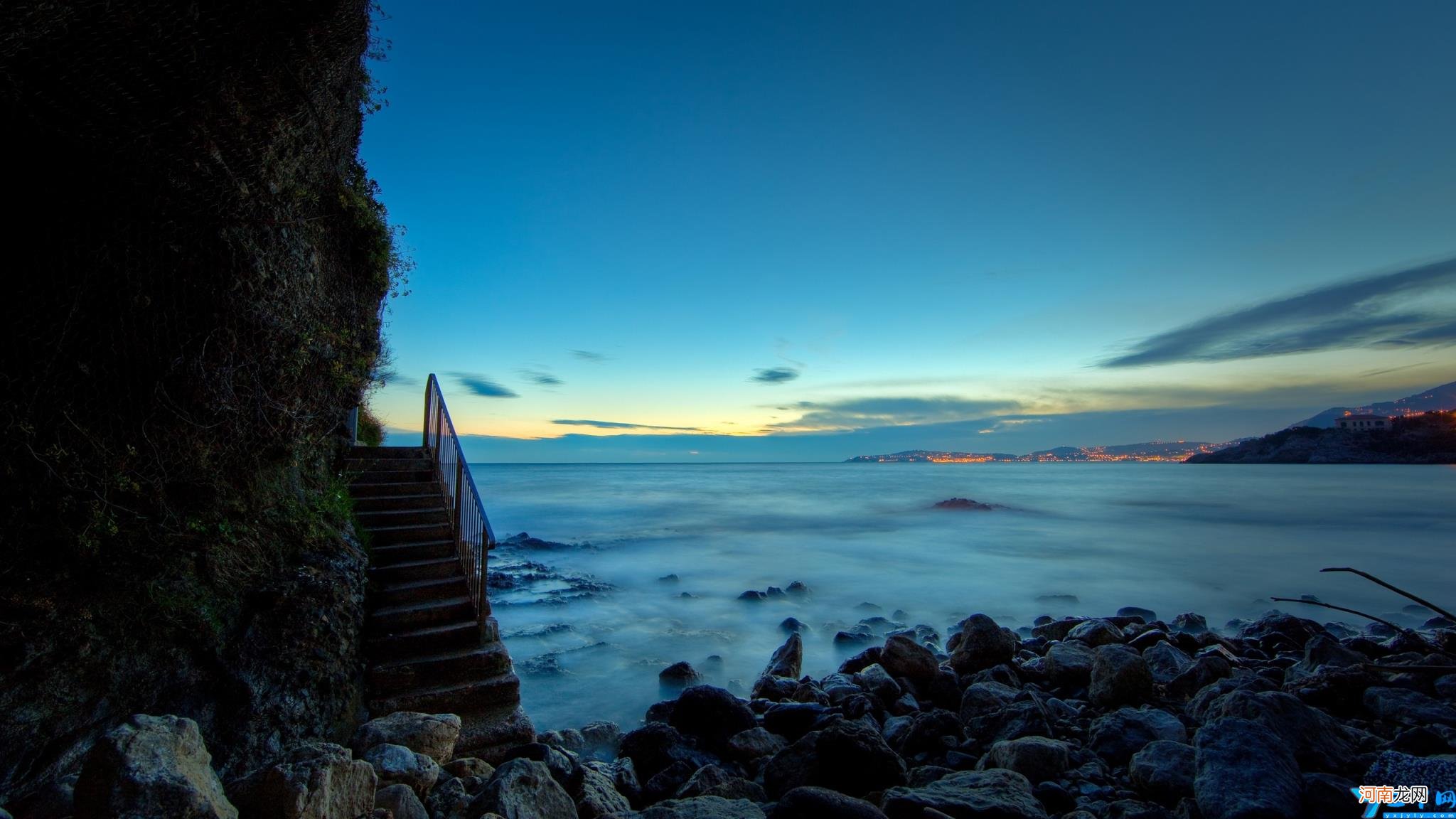向日葵花语个性签名 关于向日葵的唯美句子