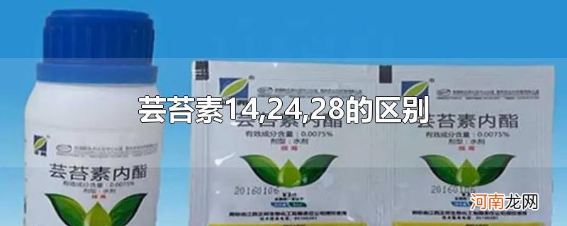 芸苔素14,24,28的区别