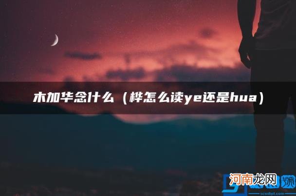 桦怎么读ye还是hua 木加华念什么