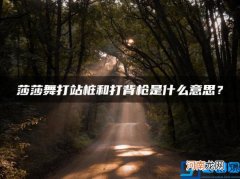 莎莎舞打站桩和打背枪是什么意思？