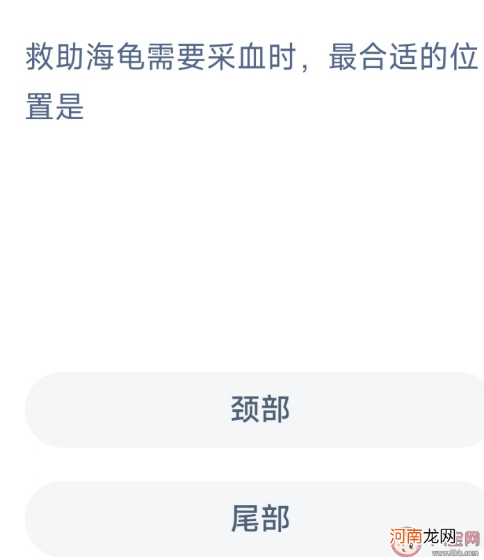 海龟|救助海龟需要采血时最合适的位置是颈部还是尾部 神奇海洋10月25日答案