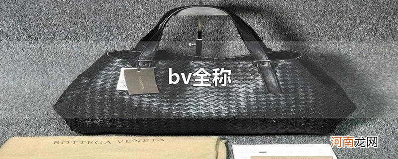 bv全称