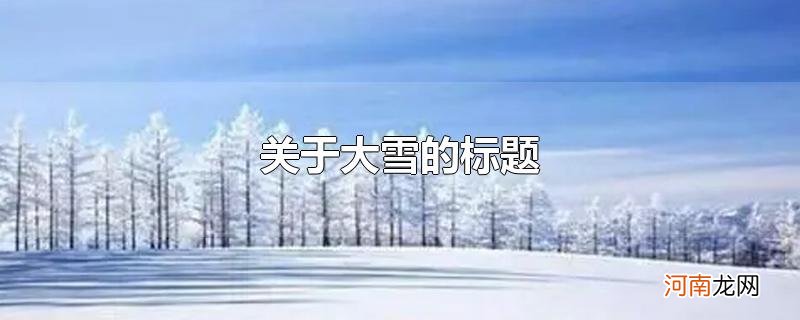 关于大雪的标题