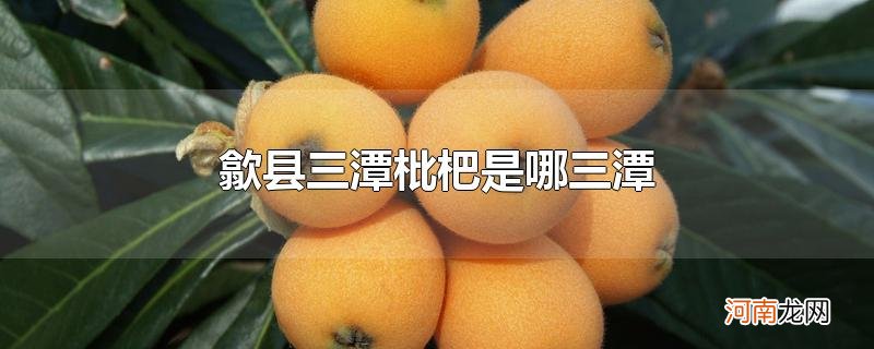 歙县三潭枇杷是哪三潭