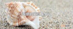 海螺的寓意及象征
