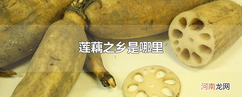 莲藕之乡是哪里