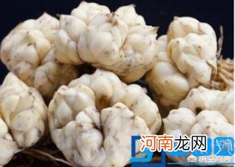 百合粉有什么功效 什么人群不宜食用？