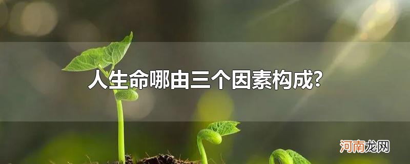 人生命哪由三个因素构成?