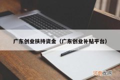 广东创业补贴平台 广东创业扶持资金
