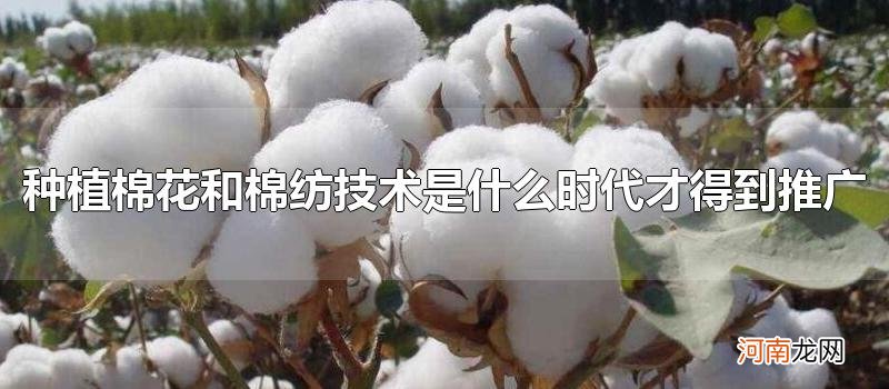 种植棉花和棉纺技术是什么时代才得到推广