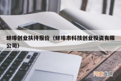 蚌埠市科技创业投资有限公司 蚌埠创业扶持报价