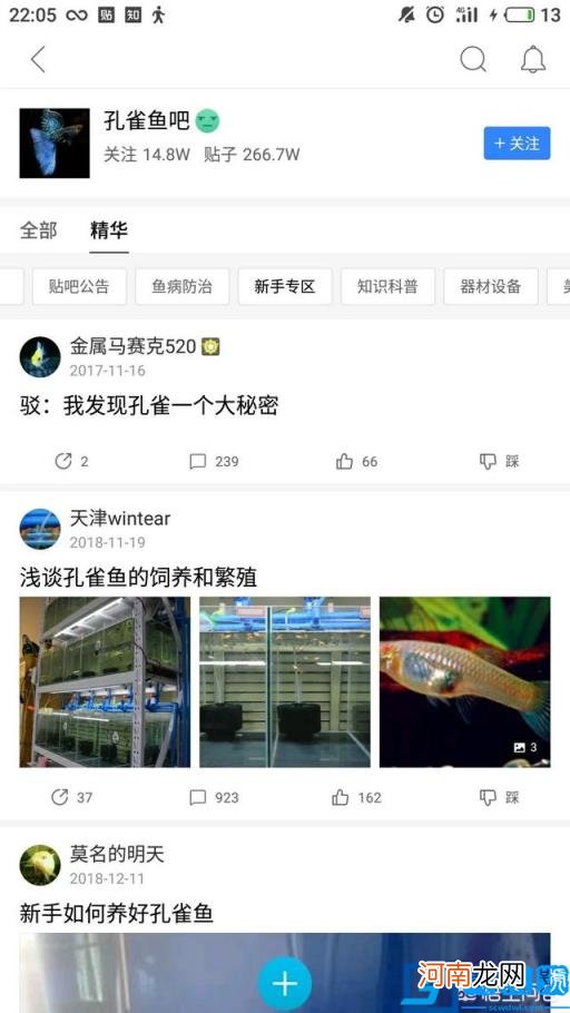 观赏鱼爱好者该如何学习相关知识？