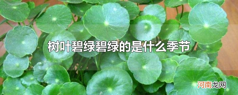 树叶碧绿碧绿的是什么季节