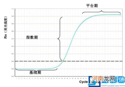 pcr过程图 pcr过程图解第四轮