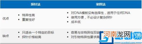 pcr过程图 pcr过程图解第四轮