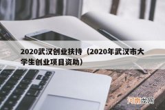 2020年武汉市大学生创业项目资助 2020武汉创业扶持