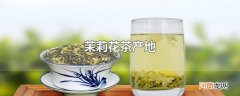 茉莉花茶产地