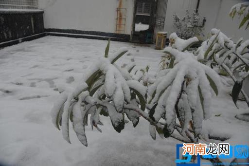 瑞雪兆兆丰年什么意思 瑞雪兆丰年是什么意思?