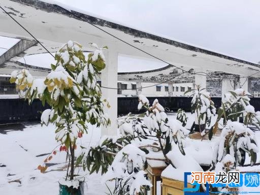 瑞雪兆兆丰年什么意思 瑞雪兆丰年是什么意思?