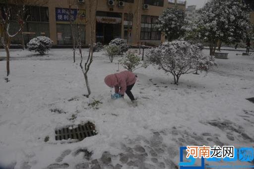 瑞雪兆兆丰年什么意思 瑞雪兆丰年是什么意思?