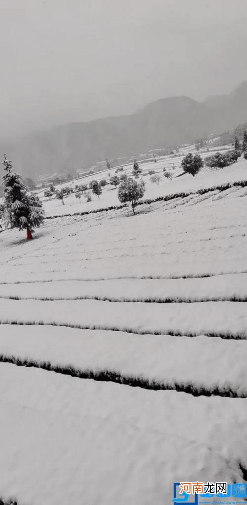 瑞雪兆兆丰年什么意思 瑞雪兆丰年是什么意思?