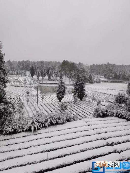 瑞雪兆兆丰年什么意思 瑞雪兆丰年是什么意思?