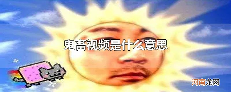 鬼畜视频是什么意思