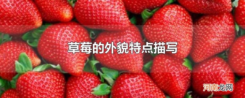 草莓的外貌特点描写
