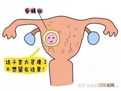 子宫内膜薄怎么办 子宫内膜薄月经量少该怎么调理
