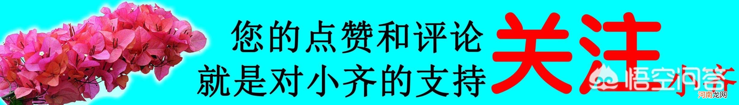 栀子花能晒太阳吗 栀子花盆栽可以晒太阳吗？