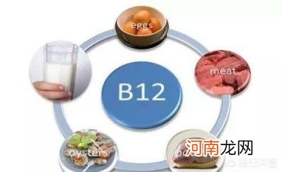 含b族维生素的食物 常说的B族维生素都是什么？