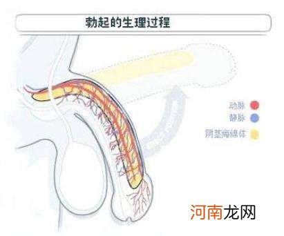 阳萎怎么办 乙肝病人阳萎怎么办