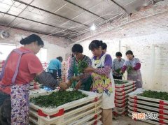 广西覃塘返乡创业扶持政策 广西对创业的政策支持