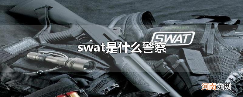 swat是什么警察