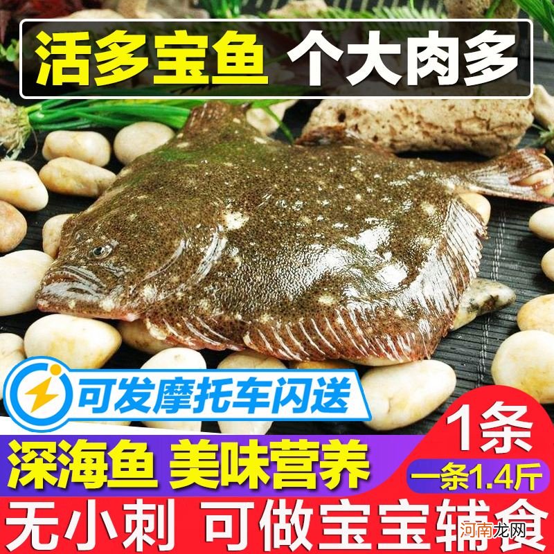 多宝鱼多少钱一斤 广东多宝鱼多少钱一斤