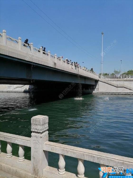 鲶鱼刺多吗 鲶鱼有刺吗是一根主刺吗